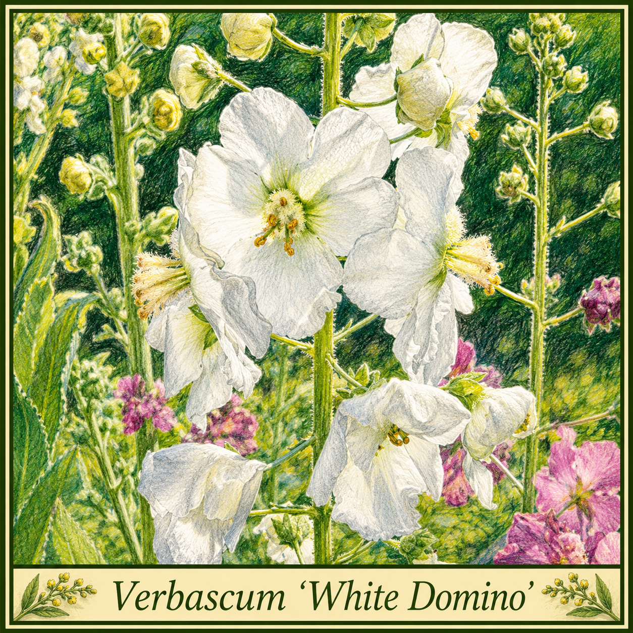 White domino pic.png White domino pic.png
